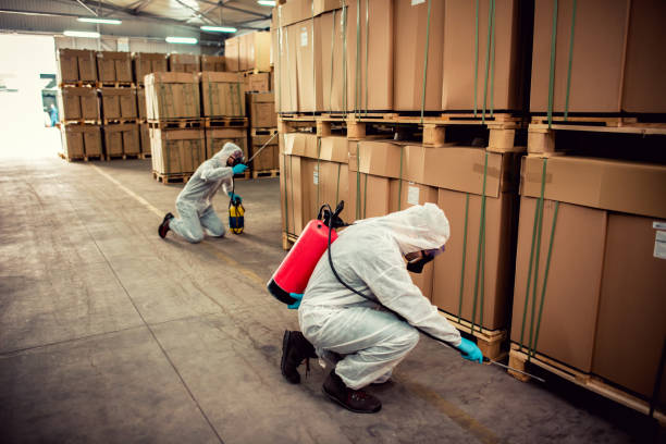 Best Affordable Pest Control Services  in Tashua, CT