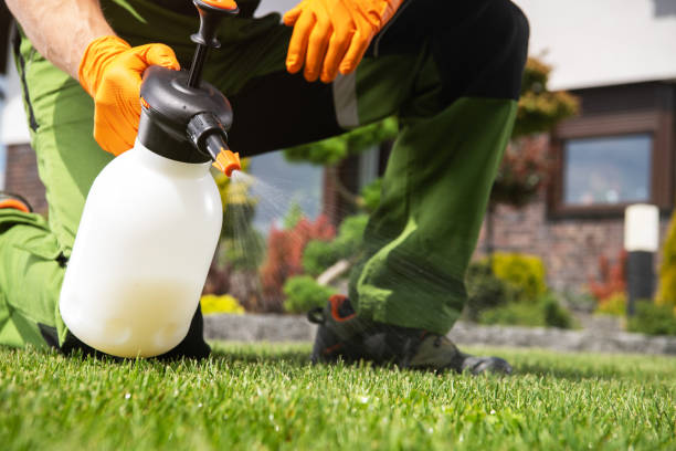 Best Emergency Pest Control  in Tashua, CT