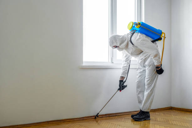 Best Pest Control Near Me  in Tashua, CT