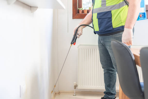 Best Flea Control Services  in Tashua, CT