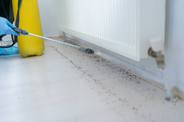 Best Pest Removal Services  in Tashua, CT