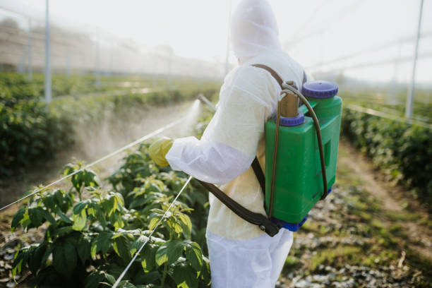 Best Emergency Pest Control  in Tashua, CT